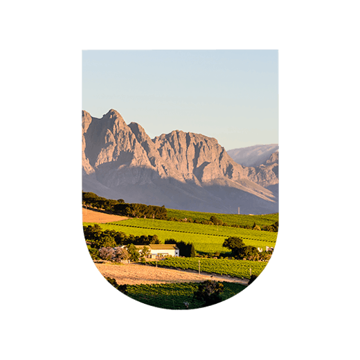 Région viticole Afrique du Sud